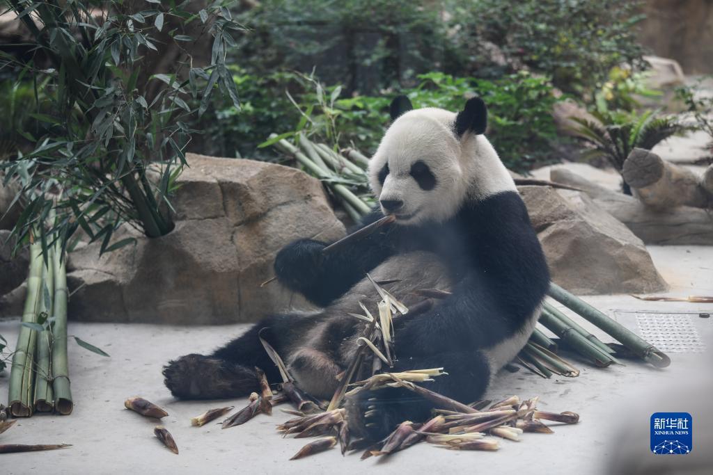 有个叫第9代捕鱼